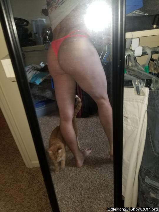 Adult image from LittleMan20