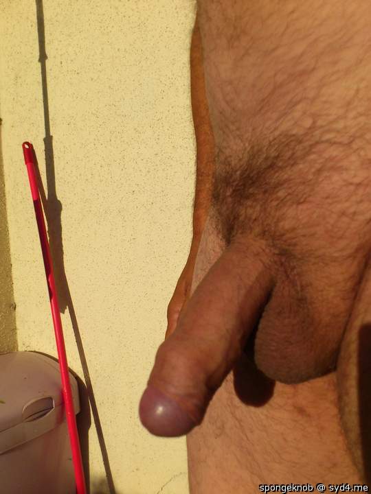 Adult image from spongeknob