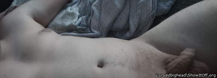 Adult image from Curvedbighead