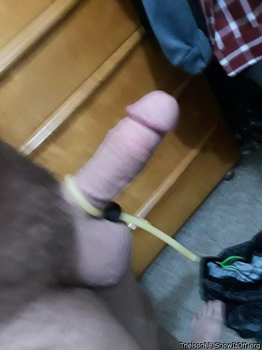 Adult image from Tnelson88