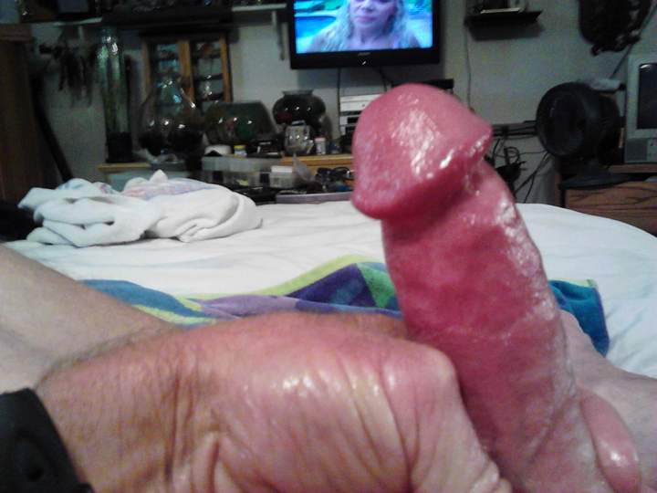 Adult image from fish4free
