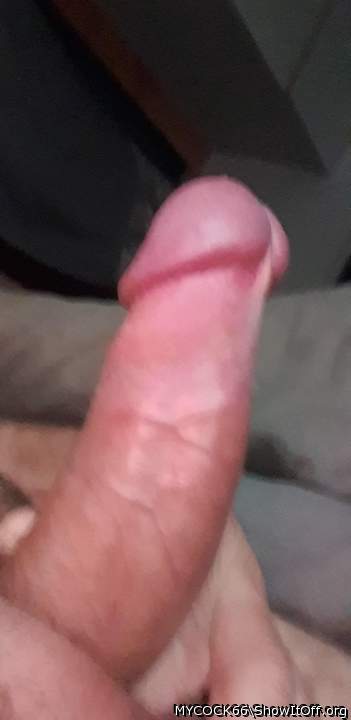 Adult image from MYCOCK66