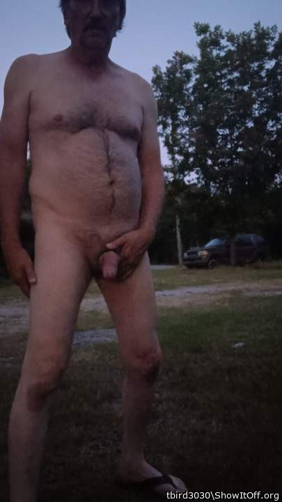 Adult image from tbird3030