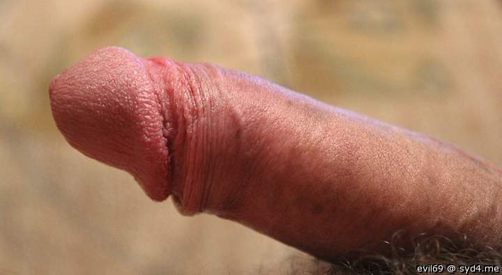 Adult image from evil69