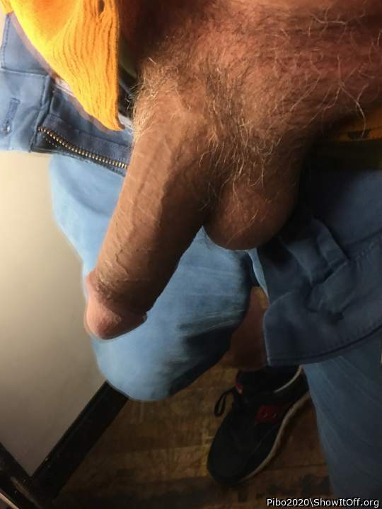 Adult image from Pibo2020