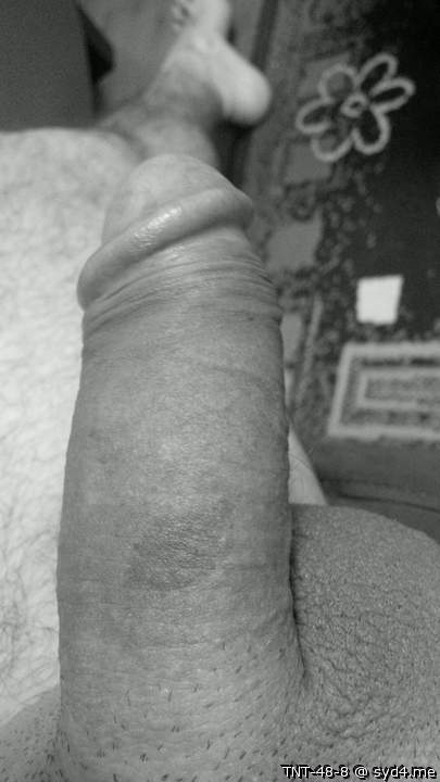 Adult image from TNT-48-8