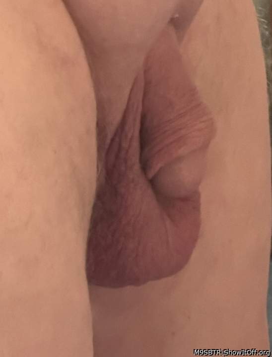 Adult image from M9SBTR