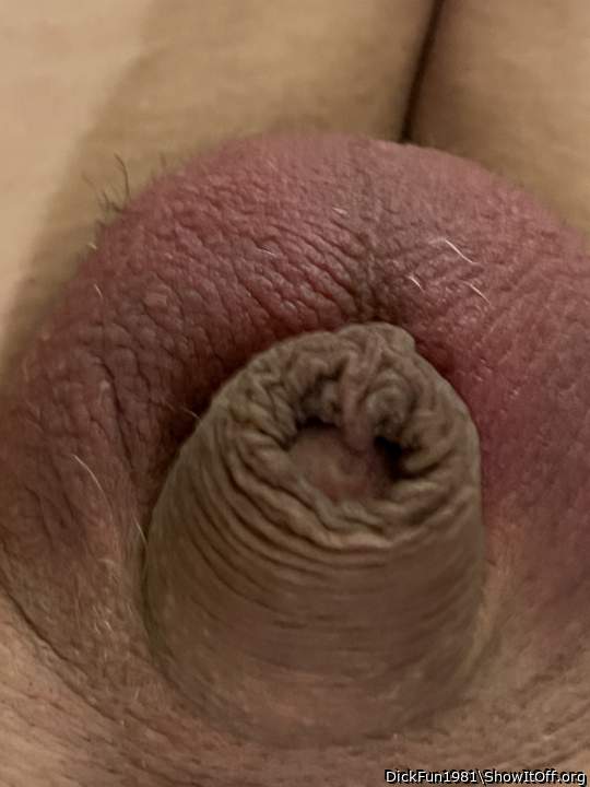 Adult image from DickFun1981