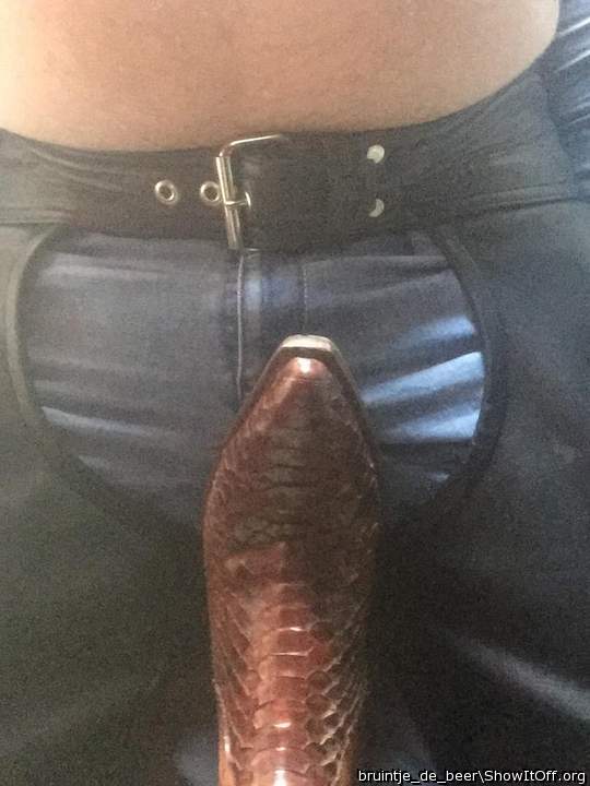 Adult image from bruintje_de_beer