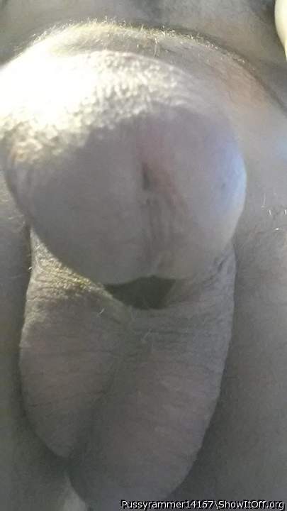 Adult image from Pussyrammer14167