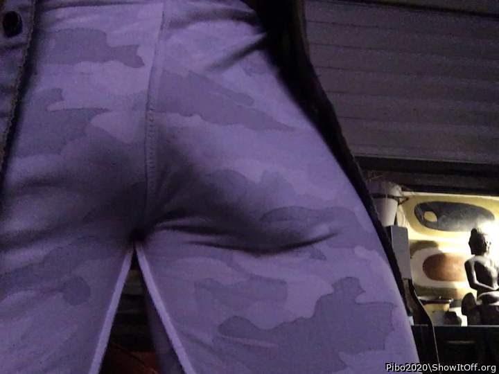Adult image from Pibo2020