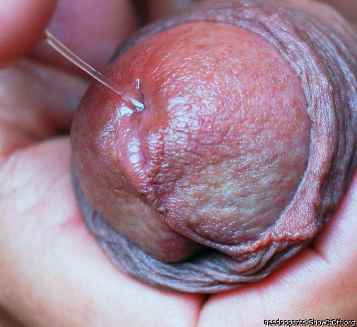 Adult image from neednopants