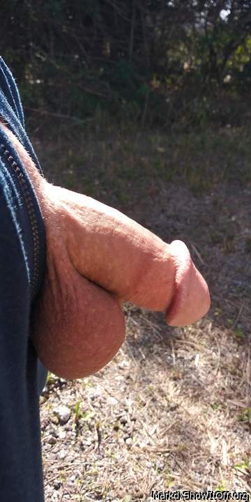 Adult image from Markd
