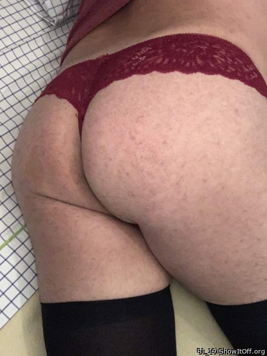 Adult image from BI_19