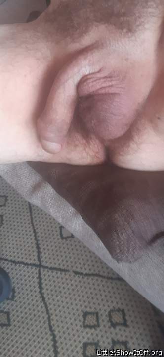 Adult image from Little