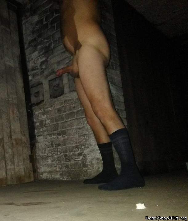 Adult image from Dario