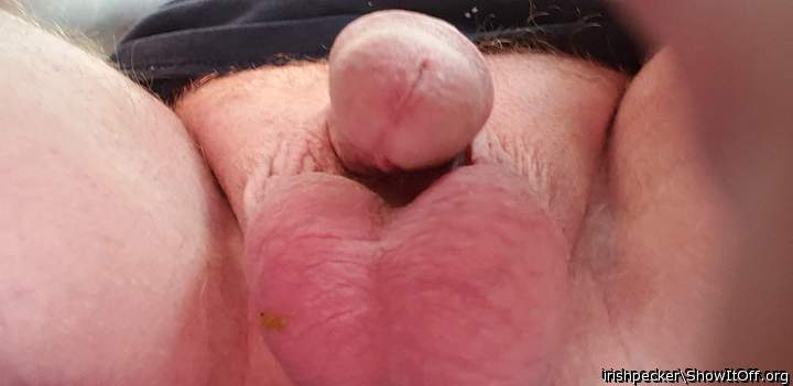 Adult image from irishpecker