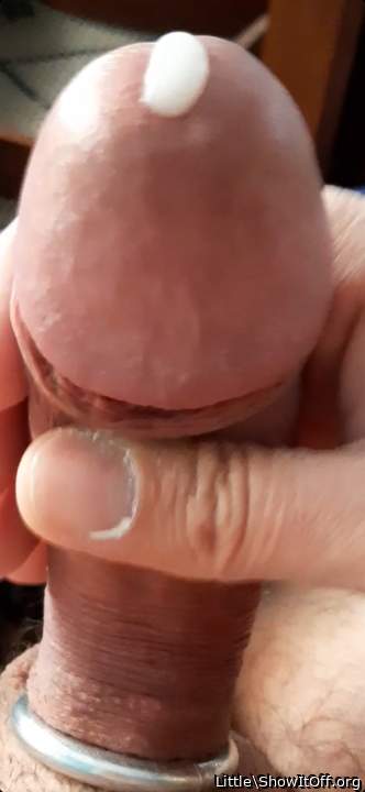 PUT YOUR SPERM IN MY  ASS  MAKE ME PREGNANT