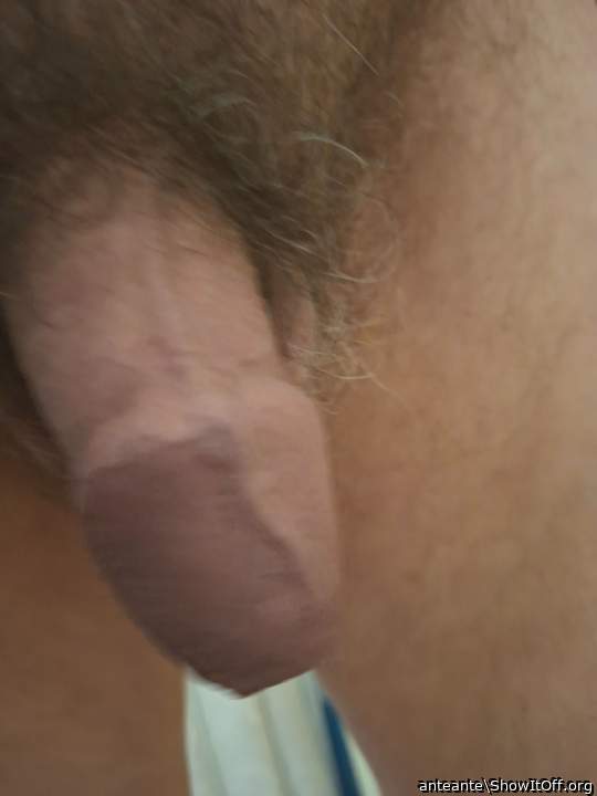 Adult image from anteante