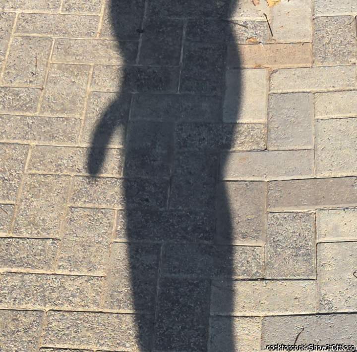 Silhouette of a semi
