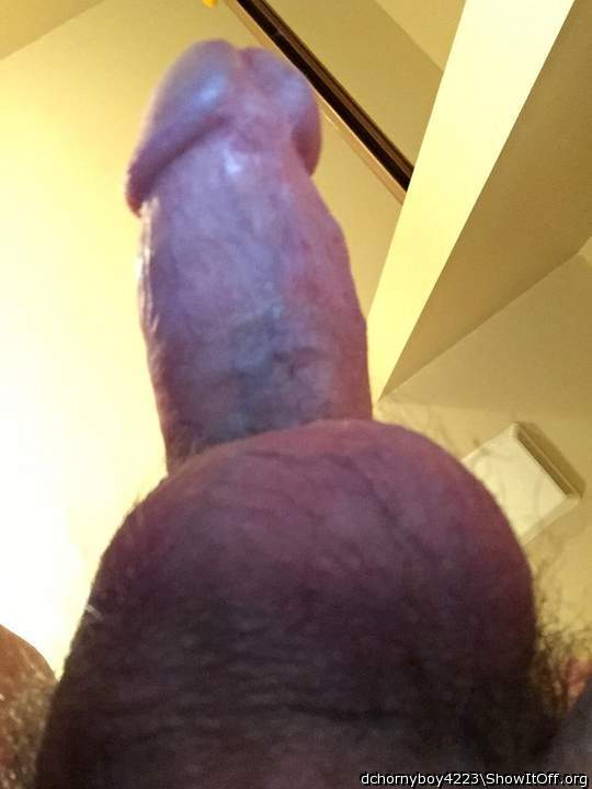 Adult image from dchornyboy4223