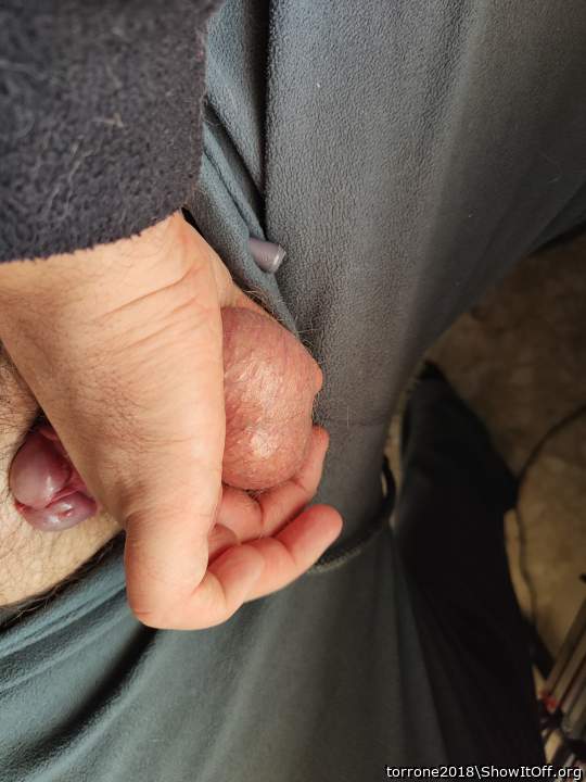 Adult image from torrone2018