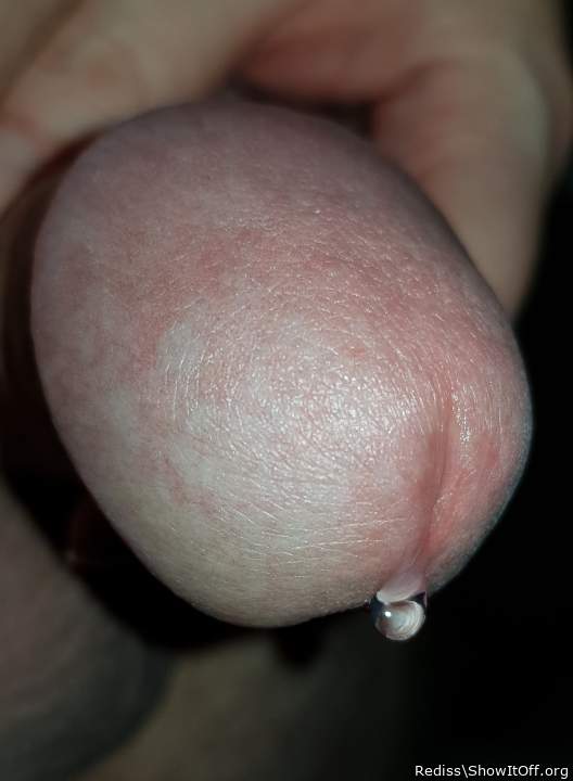 Adult image from Rediss