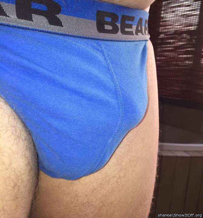 Adult image from Sharkie