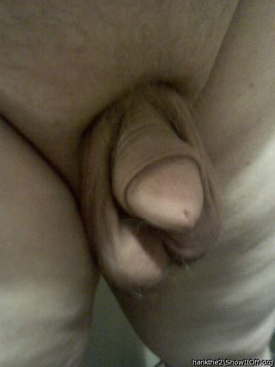 Adult image from hankthe2