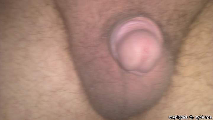 Adult image from mybigdick