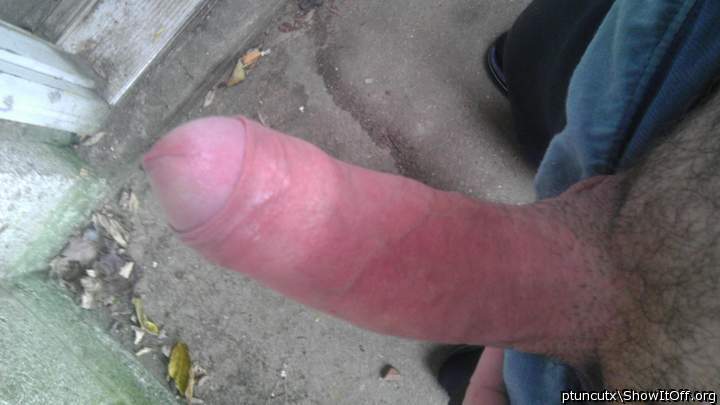 Adult image from ptuncutx