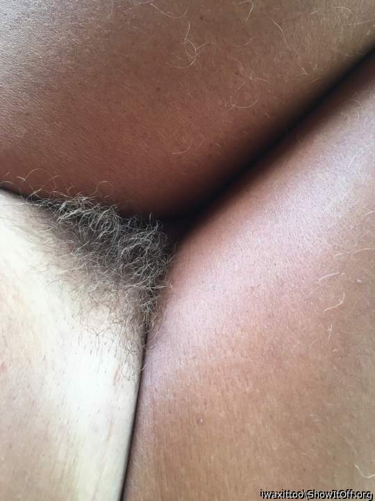 Just a bush....tucked!