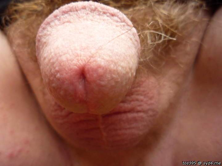 Adult image from tos395
