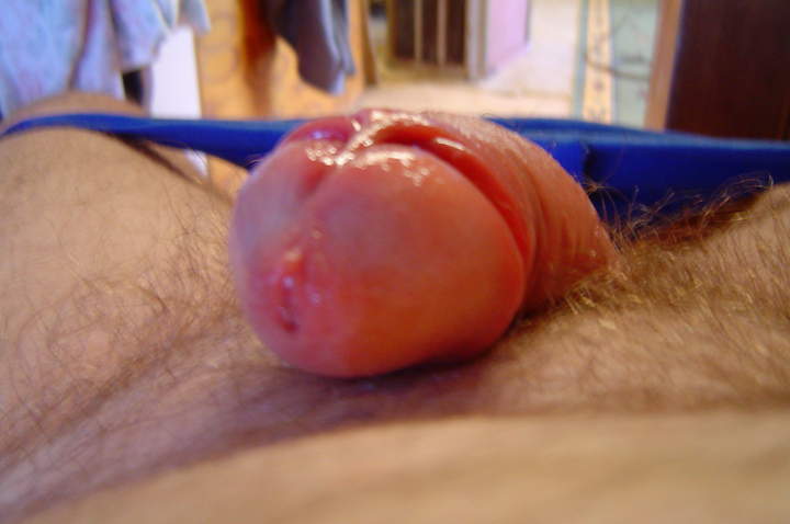 Adult image from cuddles1
