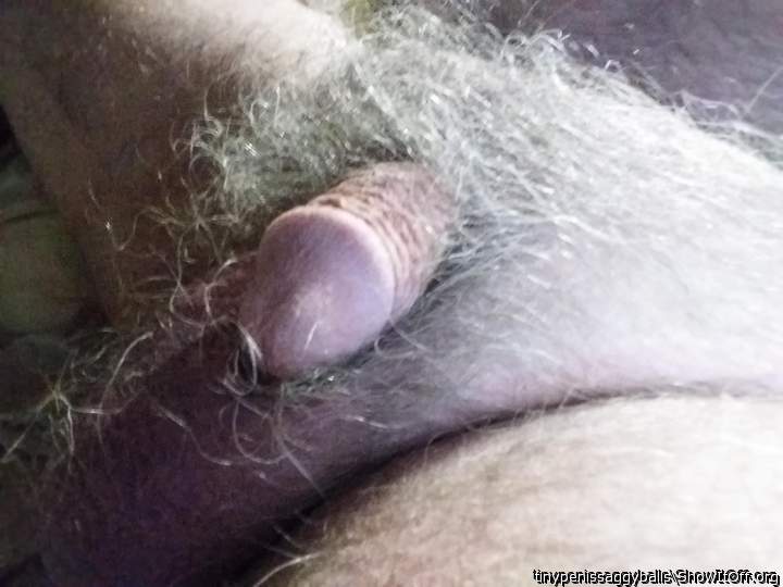 Adult image from tinypenissaggyballs