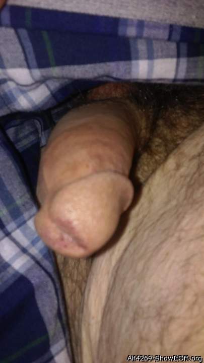 Adult image from Alf4269
