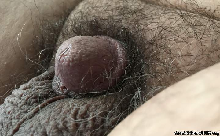 Adult image from chub39