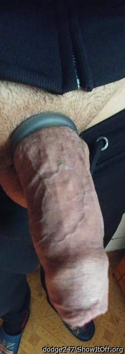 Adult image from dodge247