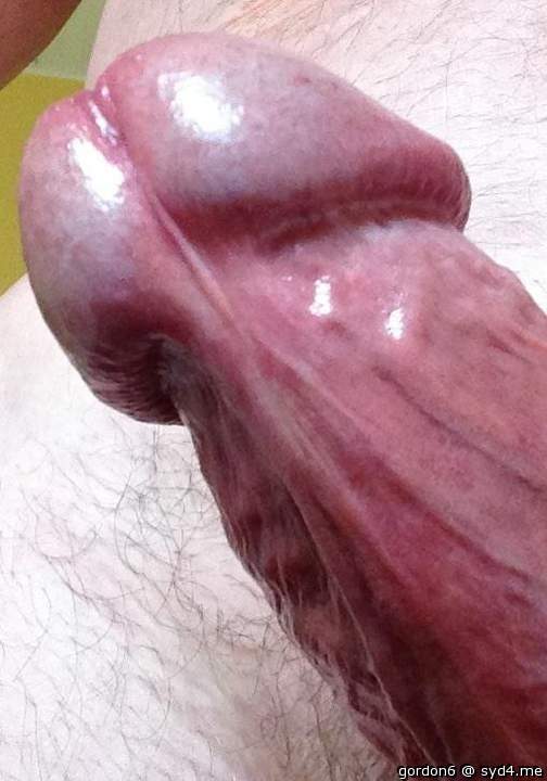 Adult image from gordon6