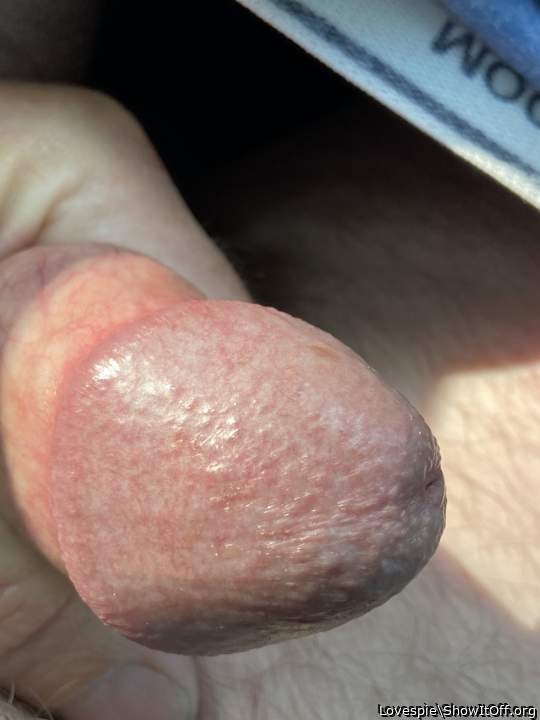 Adult image from Lovespie