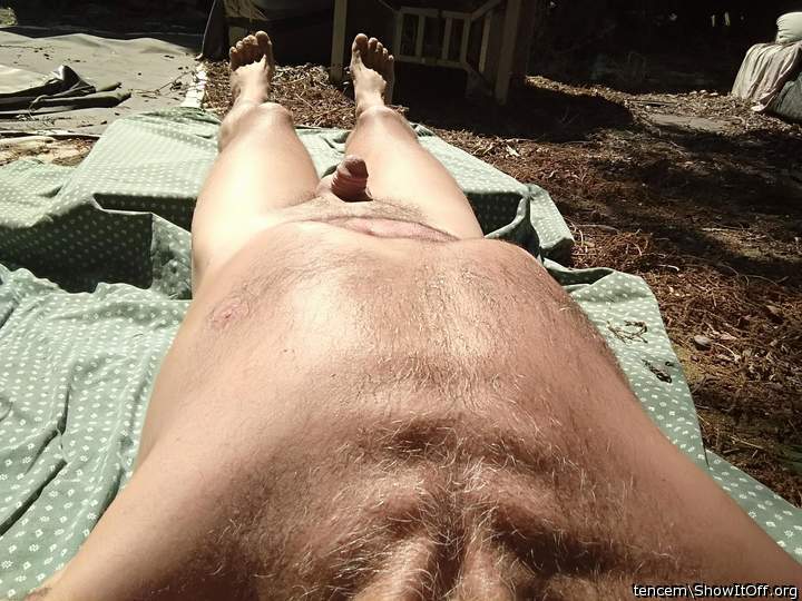Getting some sun in my back yard 4