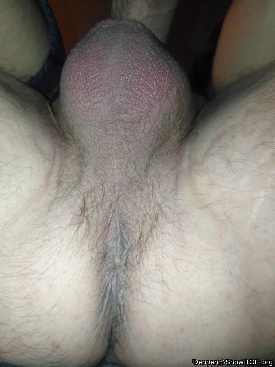 Adult image from Denpenn