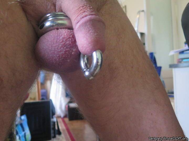 Adult image from tentpeg