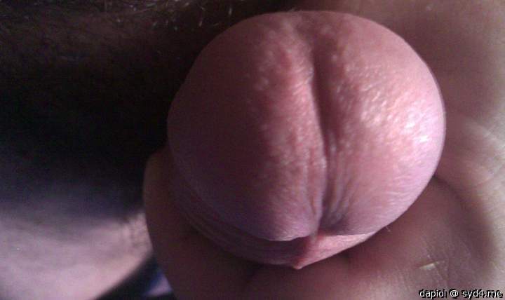 Adult image from dapiol