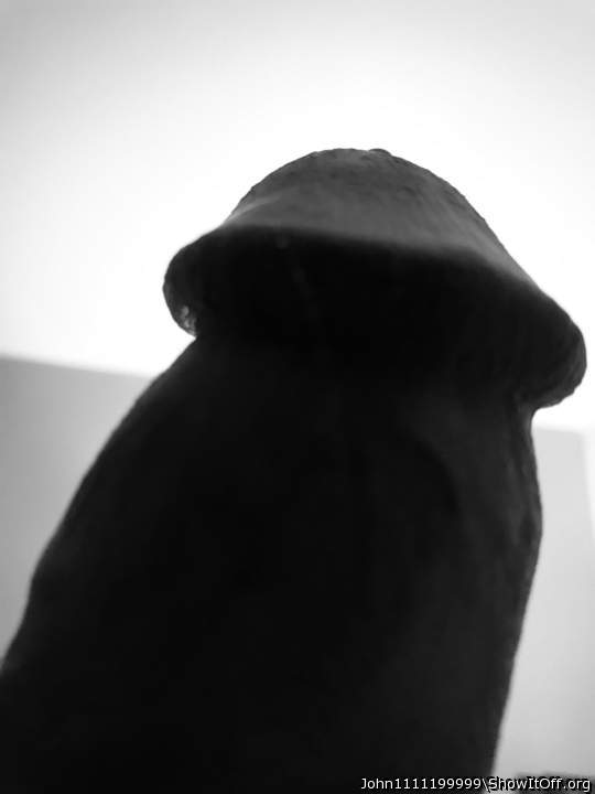 Adult image from John1111199999