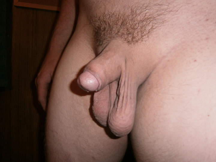 Adult image from 450