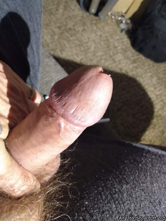 Adult image from Alf4269