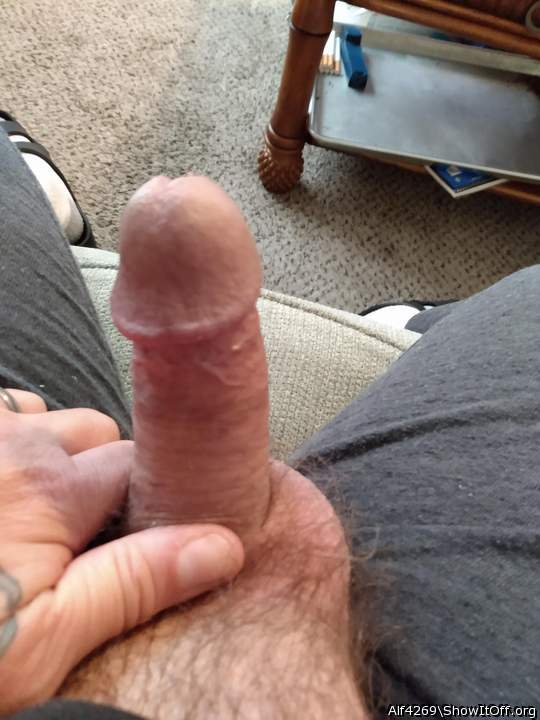 Adult image from Alf4269