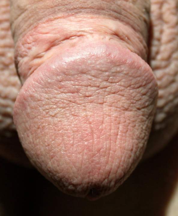 Adult image from lilsoftee