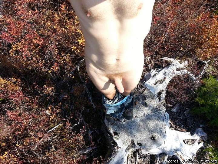 Adult image from recordslave